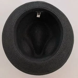 Talula | Accessories | Aritzia Tallula Black Straw Fedora  display picture 1